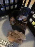 processed/8ad34f62-e80c-420e-93ab-eb3e2e891d13/listing/750ef832-fa70-4793-9637-8df1b029d420/199f4c1e-5777-4a0c-9666-abe38564c7b8