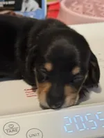 processed/8ad34f62-e80c-420e-93ab-eb3e2e891d13/listing/750ef832-fa70-4793-9637-8df1b029d420/2b0565ad-7889-45cb-9574-e37c6210f613