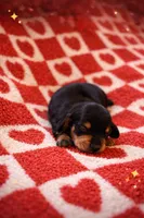 processed/8ad34f62-e80c-420e-93ab-eb3e2e891d13/listing/750ef832-fa70-4793-9637-8df1b029d420/8c5c3b41-ebb2-4674-abc6-43cc7ec70b3f