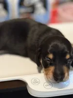 processed/8ad34f62-e80c-420e-93ab-eb3e2e891d13/listing/750ef832-fa70-4793-9637-8df1b029d420/99155d42-7413-47f8-960e-997bb1932079