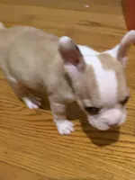 processed/8ad7a34a-9249-49af-be3d-82022641be75/listing/3a2af30f-e9b9-42f6-8860-1a709974d337/c768fdbf-bfe6-4b08-a262-2364ed0169a2