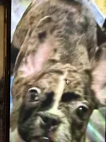 processed/8ad7a34a-9249-49af-be3d-82022641be75/listing/7e8a478c-4a81-42a0-a7d1-75f7a7afc09d/621a69a1-0ce8-4567-bb91-66f3012f0369