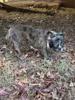 processed/8ad7a34a-9249-49af-be3d-82022641be75/listing/7e8a478c-4a81-42a0-a7d1-75f7a7afc09d/9541ba8f-267e-439e-97d9-3d75a1b493da