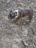 processed/8ad7a34a-9249-49af-be3d-82022641be75/listing/7e8a478c-4a81-42a0-a7d1-75f7a7afc09d/b4a2789f-25be-4da7-9c05-4dd9f3b85ce2