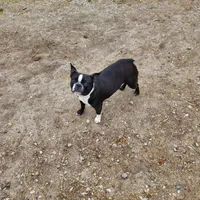 processed/8ae17854-01e4-4ca3-9bf8-7fb76e328d0e/facility/1252509d-bbcf-41e8-9584-144e13404905