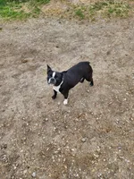 processed/8ae17854-01e4-4ca3-9bf8-7fb76e328d0e/facility/1252509d-bbcf-41e8-9584-144e13404905