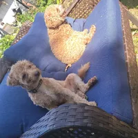 processed/8ae17854-01e4-4ca3-9bf8-7fb76e328d0e/facility/1b479586-4953-4604-b632-024984bfb9d2