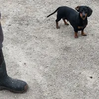 processed/8ae17854-01e4-4ca3-9bf8-7fb76e328d0e/facility/42df3017-760c-4a49-9cc2-f797d54ca951