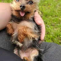 processed/8ae17854-01e4-4ca3-9bf8-7fb76e328d0e/facility/6c45c96a-755d-4333-ae21-6022eb020960