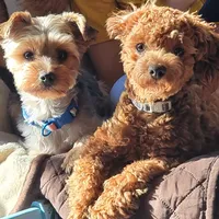 processed/8ae17854-01e4-4ca3-9bf8-7fb76e328d0e/facility/9b60c16e-9422-40ae-a569-126dd1357aa3