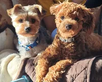 processed/8ae17854-01e4-4ca3-9bf8-7fb76e328d0e/facility/9b60c16e-9422-40ae-a569-126dd1357aa3