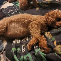 processed/8ae17854-01e4-4ca3-9bf8-7fb76e328d0e/facility/ba99eecd-4e7b-4101-8eb8-e7ab49df5305