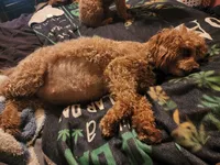 processed/8ae17854-01e4-4ca3-9bf8-7fb76e328d0e/facility/ba99eecd-4e7b-4101-8eb8-e7ab49df5305