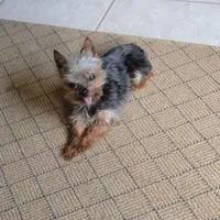 processed/8ae17854-01e4-4ca3-9bf8-7fb76e328d0e/facility/c69abf47-c7c7-4ae5-83fe-9bb8afb918ad