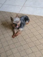 processed/8ae17854-01e4-4ca3-9bf8-7fb76e328d0e/facility/c69abf47-c7c7-4ae5-83fe-9bb8afb918ad