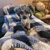 processed/8ae17854-01e4-4ca3-9bf8-7fb76e328d0e/facility/eb22b10d-573d-49fe-ba1a-4d770176d415