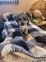 processed/8ae17854-01e4-4ca3-9bf8-7fb76e328d0e/facility/eb22b10d-573d-49fe-ba1a-4d770176d415