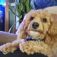 processed/8ae17854-01e4-4ca3-9bf8-7fb76e328d0e/facility/eef51b17-f5a0-449d-a3b0-e6487d5681e3