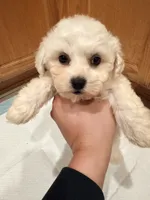 processed/8ae56dfd-7253-4097-b02a-0a3dfe274b85/listing/2b2aab34-47a5-45e3-a1a3-8e8942d63b2e/3a96611c-c01c-4da3-8dcd-023cb74d42c0