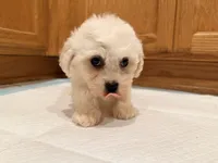 processed/8ae56dfd-7253-4097-b02a-0a3dfe274b85/listing/2b2aab34-47a5-45e3-a1a3-8e8942d63b2e/3b5680c0-9f75-4e01-a54d-0aab7ceed854