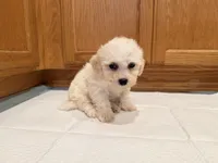 processed/8ae56dfd-7253-4097-b02a-0a3dfe274b85/listing/76365f6f-d89e-429c-bd4f-d3c29fc3d281/1d9dd70c-919d-4cd2-b7d7-10cbbee12ddb