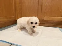 processed/8ae56dfd-7253-4097-b02a-0a3dfe274b85/listing/76365f6f-d89e-429c-bd4f-d3c29fc3d281/a795213c-df67-431a-95c8-1c00688798f1