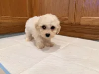 processed/8ae56dfd-7253-4097-b02a-0a3dfe274b85/listing/76365f6f-d89e-429c-bd4f-d3c29fc3d281/f7115bbf-0373-41ac-9336-9a6ef1e59305