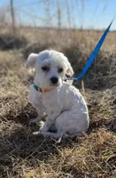 processed/8ae6d28e-221b-453d-80a2-b0274d27c7da/listing/522f8cdc-457b-4f77-8058-7acae4087c43/b59e9a5c-5d1f-4884-b703-8bbe65935b28