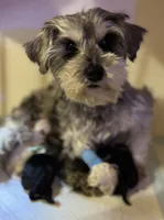 processed/8ae6d28e-221b-453d-80a2-b0274d27c7da/listing/522f8cdc-457b-4f77-8058-7acae4087c43/f456db79-fba4-4134-8dd2-27801c3cd952