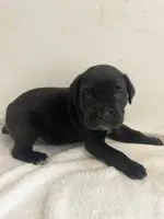 processed/8ae6fd4f-78b6-423b-955a-149ac39fbe85/listing/28c9cb42-a8f4-4b8f-94cf-d3285b681b14/3d4629ec-7443-4022-8865-a185800b5314