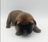 processed/8ae6fd4f-78b6-423b-955a-149ac39fbe85/listing/5975e406-72ab-4e9b-bb48-5a43a2c29d81/49bc5893-de75-430c-b801-10b1ce0294d7