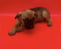 processed/8ae6fd4f-78b6-423b-955a-149ac39fbe85/listing/5975e406-72ab-4e9b-bb48-5a43a2c29d81/cf2b8741-9323-44b1-8f0d-ad5f1a43c15b