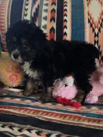 processed/8aeae539-37b9-4d01-a8a9-e5ae696a77bd/listing/26856474-df15-416f-9a0c-d7bca82b9ea8/7704257a-a9fb-49d3-bfa4-8617f35d4ab2