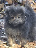 processed/8aeae539-37b9-4d01-a8a9-e5ae696a77bd/listing/93ea6a09-64b1-43e7-ab00-9443663d16ed/fb1d619d-fa36-4e4d-bdf3-be650cceb183