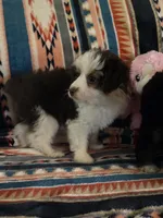 processed/8aeae539-37b9-4d01-a8a9-e5ae696a77bd/listing/a5c5282a-4ee9-4f8b-b7f3-1a9002bf7c6e/2c305584-0c53-424d-b248-d678c37cfebe