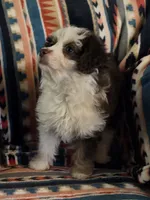 processed/8aeae539-37b9-4d01-a8a9-e5ae696a77bd/listing/a5c5282a-4ee9-4f8b-b7f3-1a9002bf7c6e/e471dbd1-05bb-411e-a79d-1134449f78a8