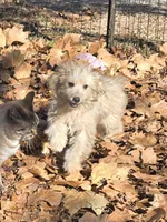 processed/8aeae539-37b9-4d01-a8a9-e5ae696a77bd/listing/c54290e2-34be-4b67-8e0e-b7056245ebae/04b8ecd2-c90a-4e4c-a4ed-8b7c9096e268