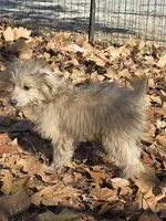 processed/8aeae539-37b9-4d01-a8a9-e5ae696a77bd/listing/c54290e2-34be-4b67-8e0e-b7056245ebae/83948090-e100-4aaf-b00d-f7e0308d04fe