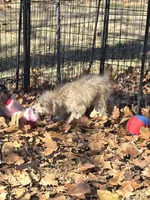 processed/8aeae539-37b9-4d01-a8a9-e5ae696a77bd/listing/c54290e2-34be-4b67-8e0e-b7056245ebae/c3c5495c-74b5-42c0-bd68-42a0b1ab950b