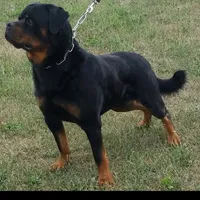 processed/8aeb75a4-6ea8-4799-8ce6-ead74f292414/facility/17dbe039-fe25-4748-8512-78eae735ec85