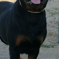 processed/8aeb75a4-6ea8-4799-8ce6-ead74f292414/facility/1c650451-1c9a-4050-a77d-c1130c696438