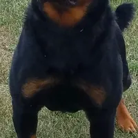 processed/8aeb75a4-6ea8-4799-8ce6-ead74f292414/facility/870d4f34-06cf-4b49-9a51-d4d48622ad6d