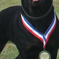 processed/8aeb75a4-6ea8-4799-8ce6-ead74f292414/facility/b85a293f-0ecf-4a98-8f0e-11948014d1d0