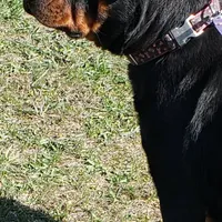 processed/8aeb75a4-6ea8-4799-8ce6-ead74f292414/facility/f5eb6369-9d14-44b5-bc82-b50b07bf0691