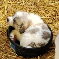 processed/8aec251f-c575-41e7-b689-87fd002f52c3/facility/176c57ed-ff66-49b5-b879-1547ab24f502