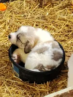 processed/8aec251f-c575-41e7-b689-87fd002f52c3/facility/176c57ed-ff66-49b5-b879-1547ab24f502