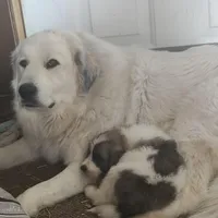 processed/8aec251f-c575-41e7-b689-87fd002f52c3/facility/3adff120-e153-4588-a41b-da08b50ee578