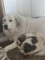 processed/8aec251f-c575-41e7-b689-87fd002f52c3/facility/3adff120-e153-4588-a41b-da08b50ee578