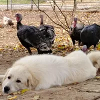 processed/8aec251f-c575-41e7-b689-87fd002f52c3/facility/46e2abfc-0c12-4e9d-8441-23a59cb7b4a2