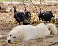 processed/8aec251f-c575-41e7-b689-87fd002f52c3/facility/46e2abfc-0c12-4e9d-8441-23a59cb7b4a2